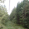DSC00832