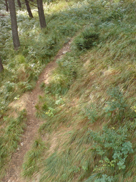 DSC00834.JPG