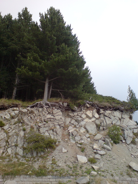 DSC00840.JPG