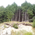 DSC00841