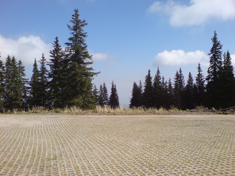 DSC00844.JPG