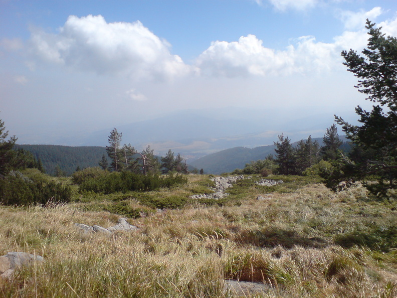 DSC00856.JPG