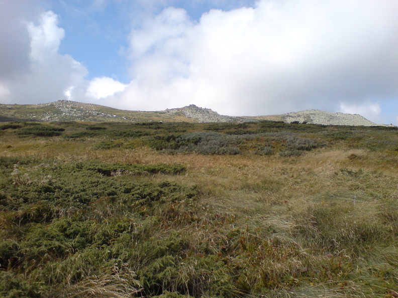 DSC00865.JPG