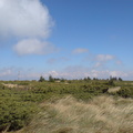 DSC00867