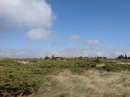 DSC00867