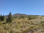 DSC00877