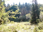 DSC00878