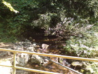 DSC00882