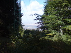 DSC00888