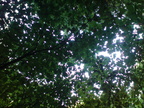 DSC00892