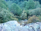 DSC00903