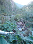 DSC00905