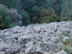 DSC00910