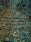 DSC00911