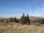 DSC03289