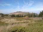 DSC03290