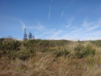 DSC03295