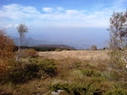 DSC03305