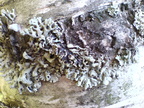 DSC03307