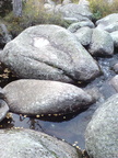 DSC03318