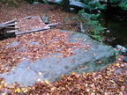 DSC03320