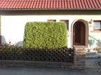 2007 Boeblingen