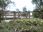 DSC0000  90 