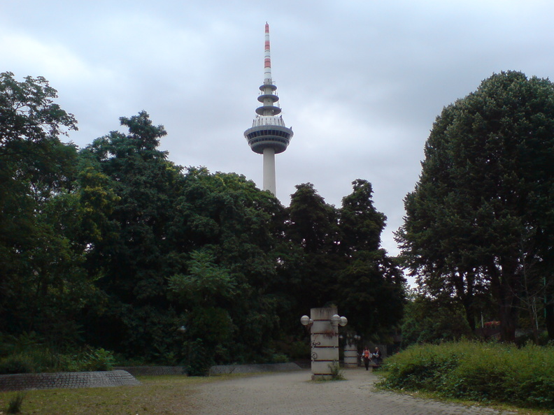 DSC01982.JPG