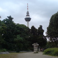 DSC01982