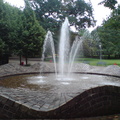 DSC01984