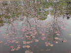DSC01623