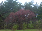 DSC01460