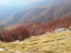 DSC03420