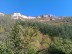 IMAG1145