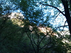 IMAG1206
