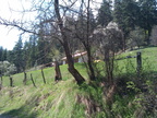 IMG 20130429 141138