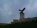 IMG  26 