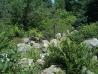 IMG 20150718 123932