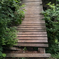 IMG 20150620 104329