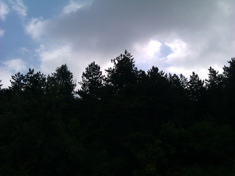 IMG_20150620_105745.jpg
