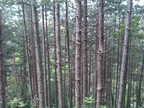 IMG 20150620 113220