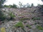 IMG 20150620 125018