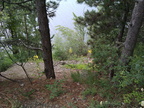 IMG 20150620 125054